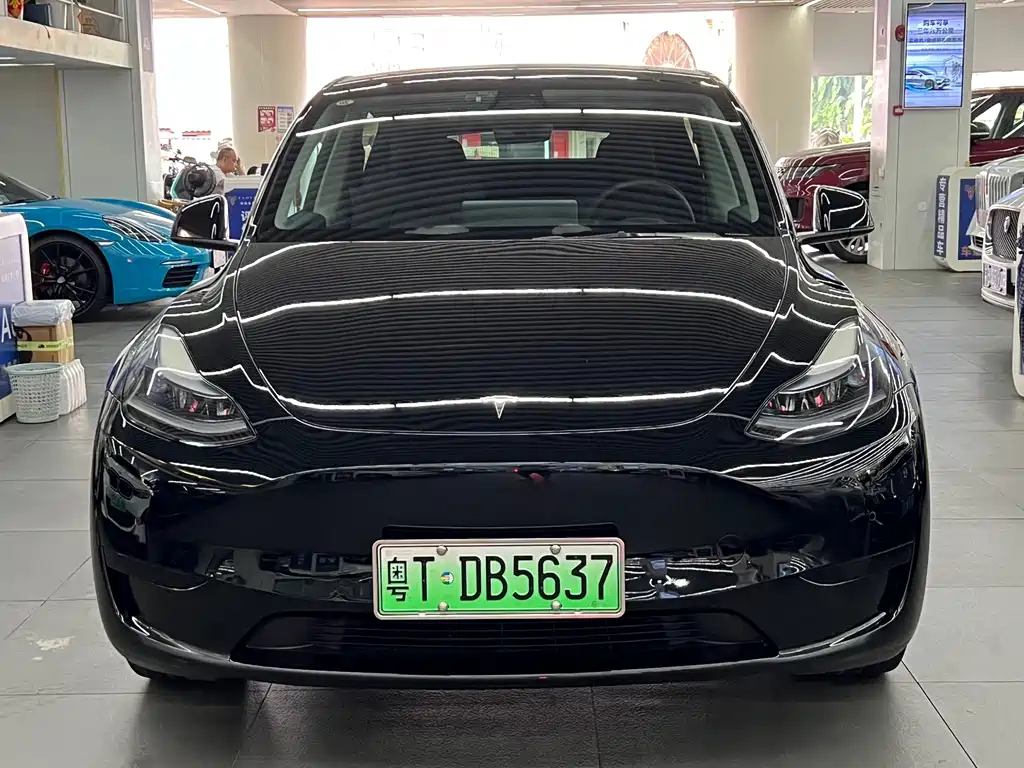 Tesla Model Y — миниатюра 2