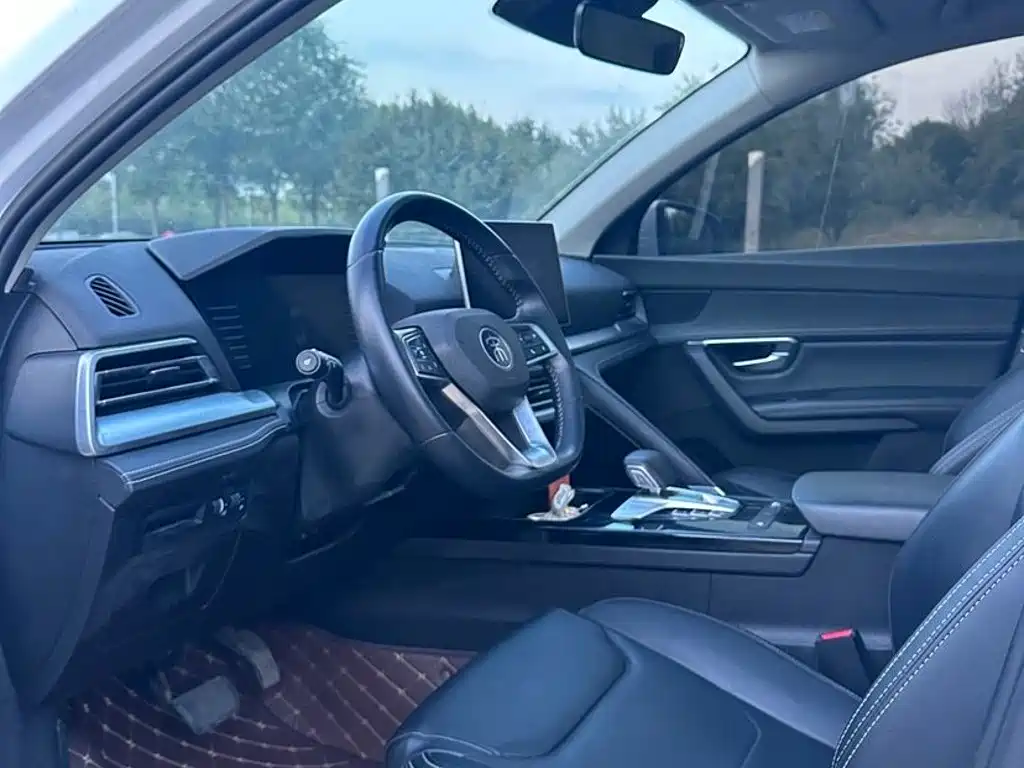 BYD Pro — миниатюра 8