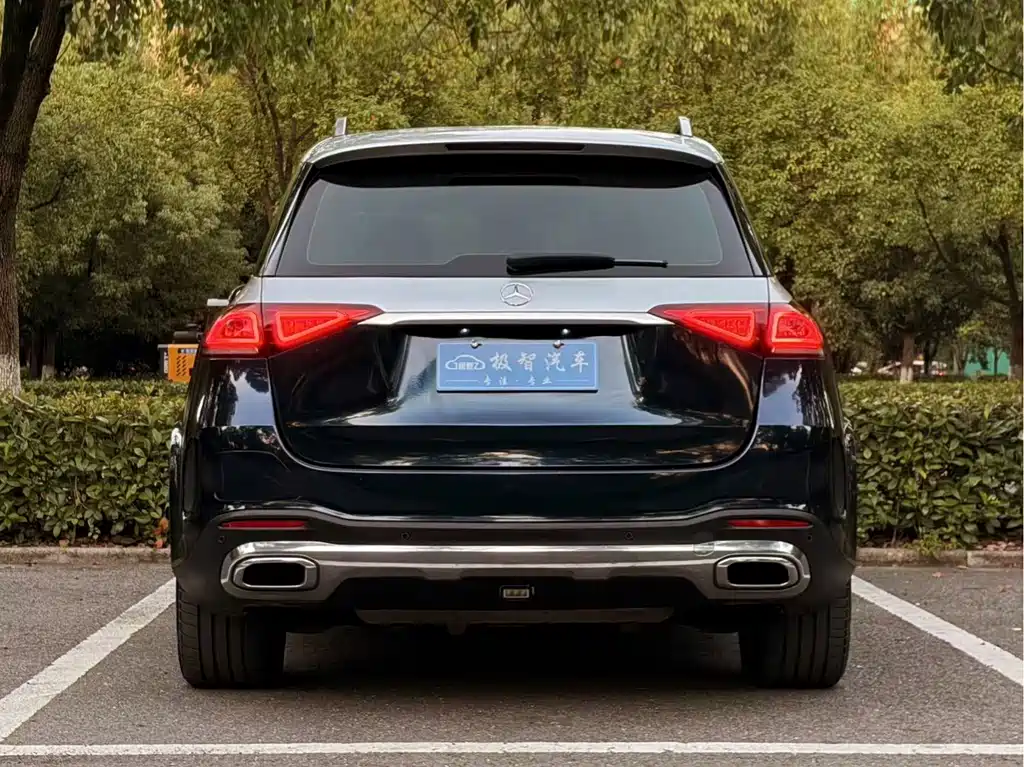 Mercedes-Benz GLE New Energy — миниатюра 6