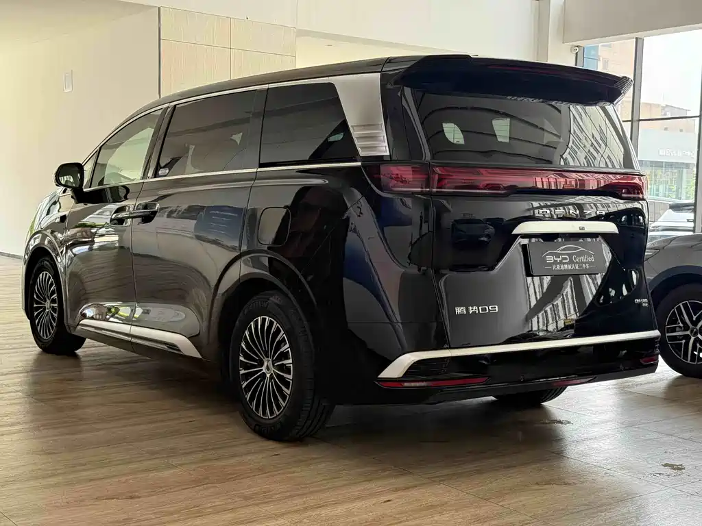 Denza Denza D9 — миниатюра 9