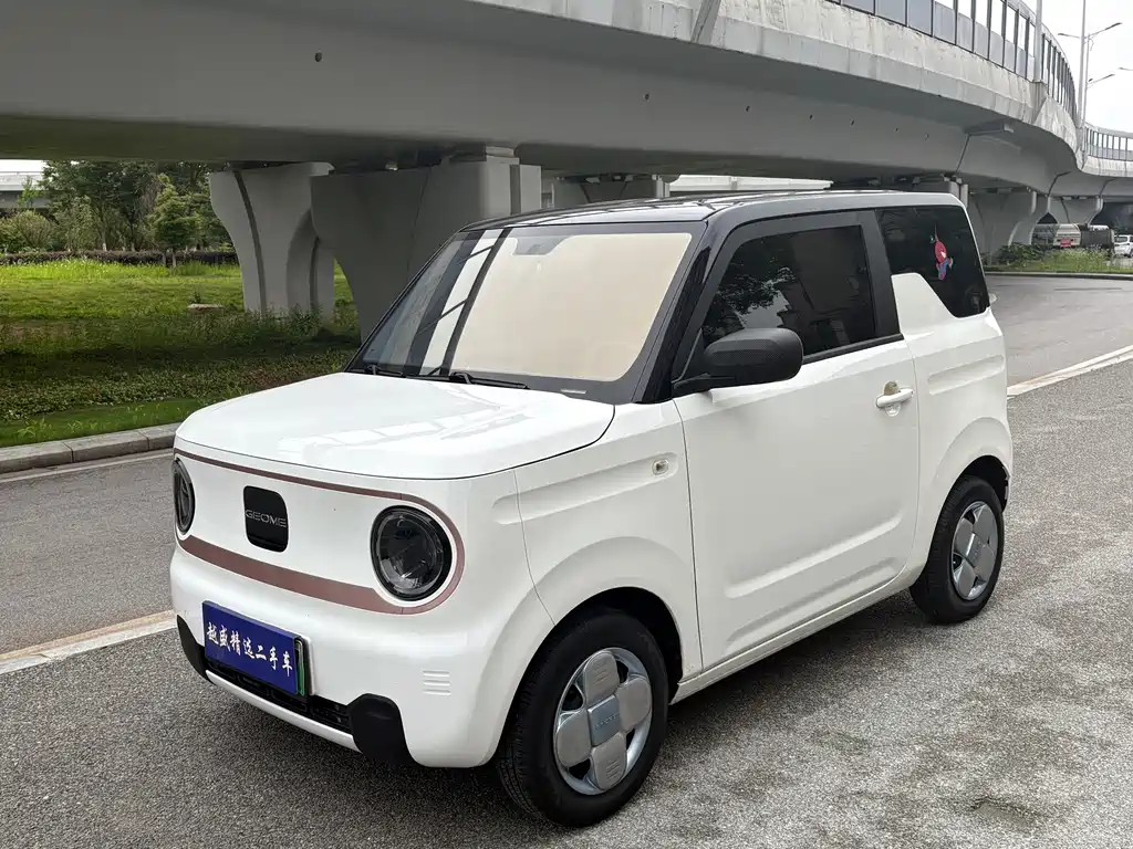 Galaxy Panda 2023