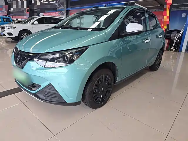 JIANGLING GROUP NEW ENERGY LITTLE UNICORN 2024