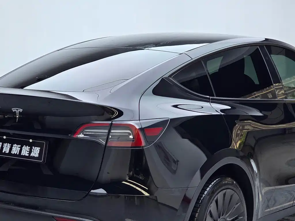 Tesla Model Y — миниатюра 11