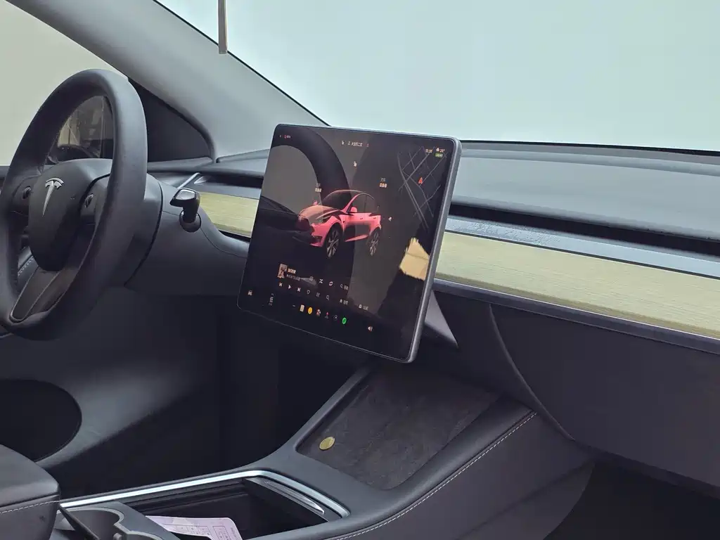Tesla Model Y — миниатюра 8