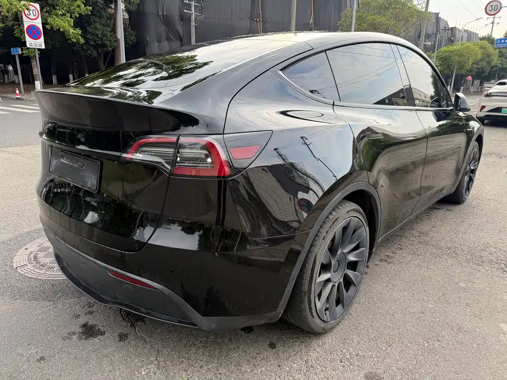 Tesla Model Y — миниатюра 7