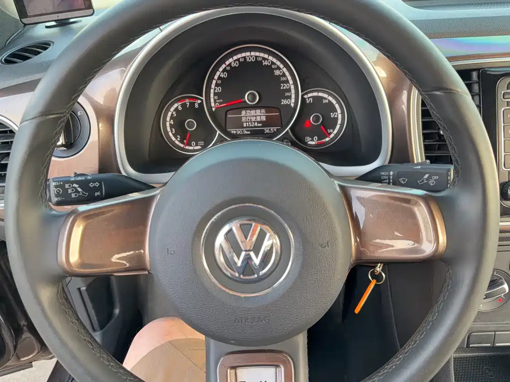 Volkswagen Beetle — миниатюра 8