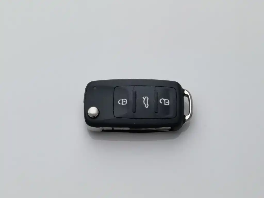 Volkswagen Gran Lavida — миниатюра 19