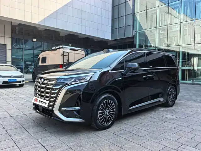 2025 Denza D9