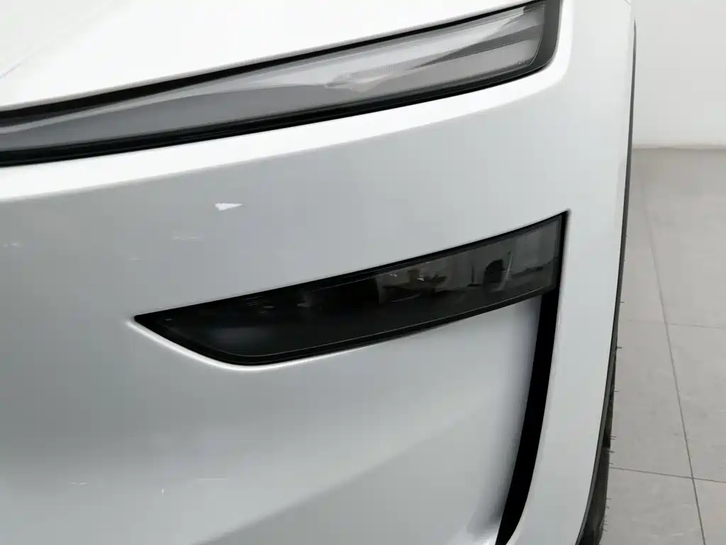 Tesla Model Y — миниатюра 7