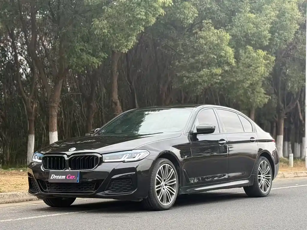 BMW 5 Series 2017