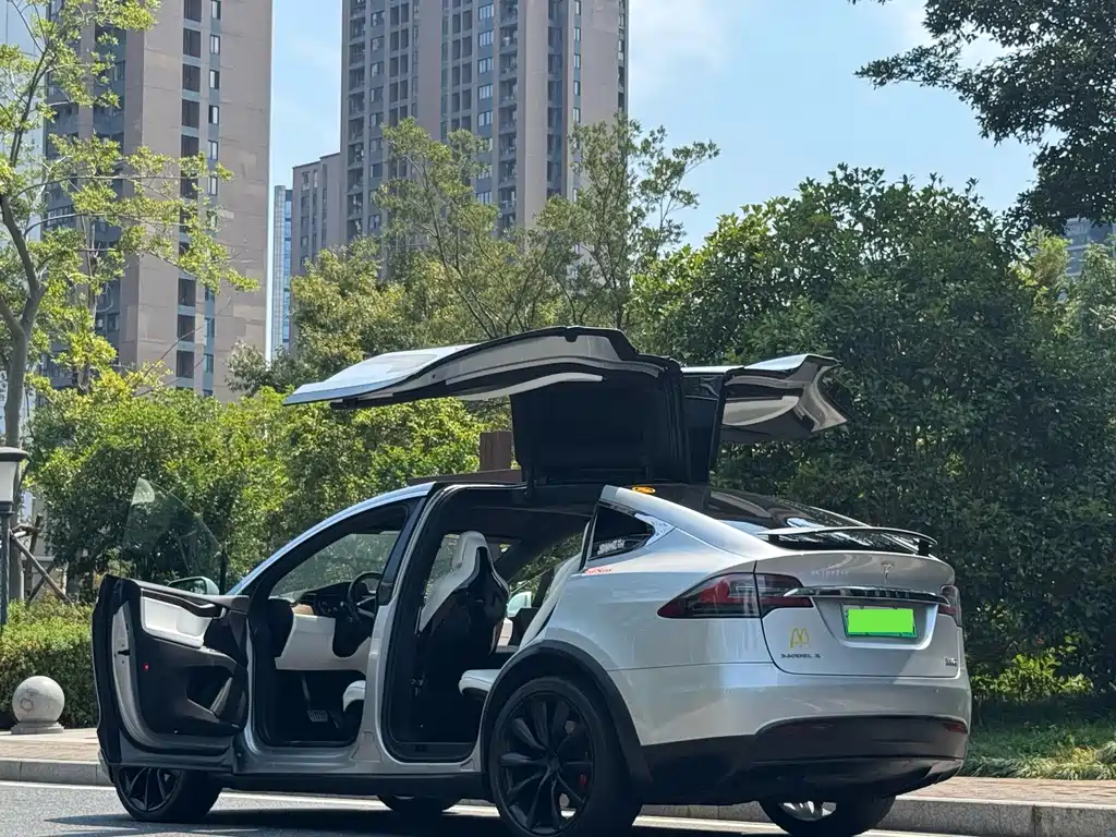 Tesla Model X — миниатюра 12