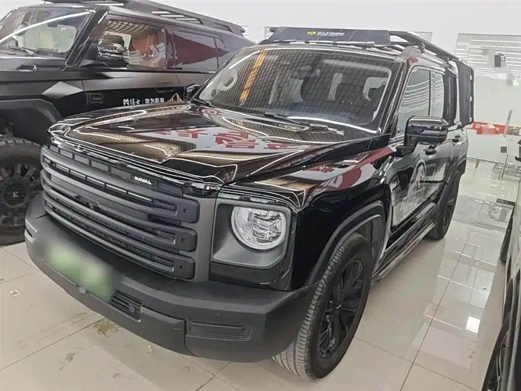 Haval Menglong New Energy 2025