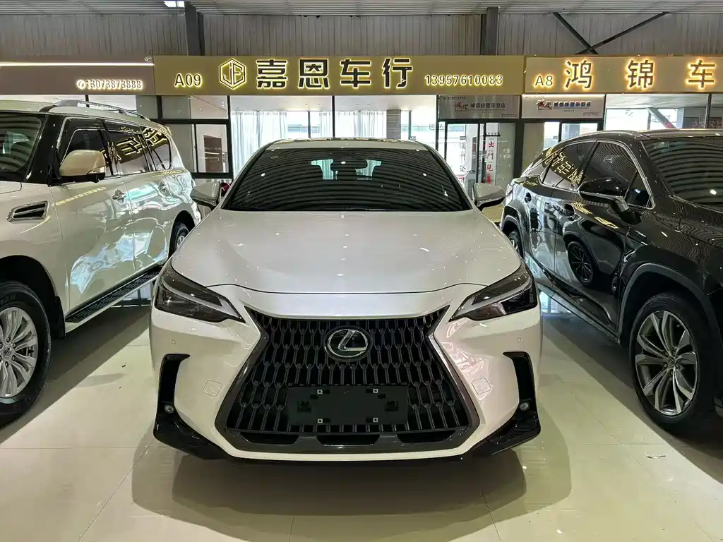 LEXUS  NX