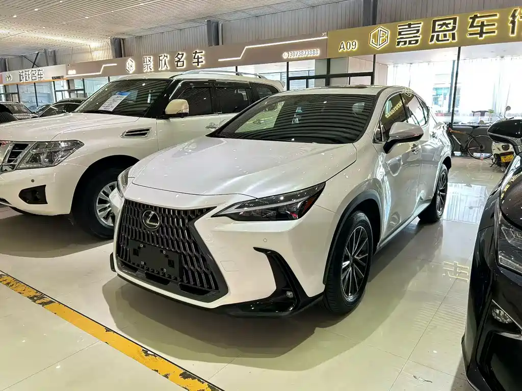 LEXUS  NX
