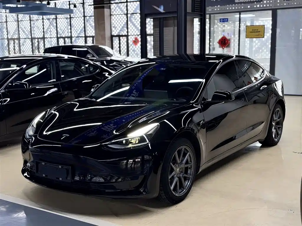 Tesla Model 3 2021