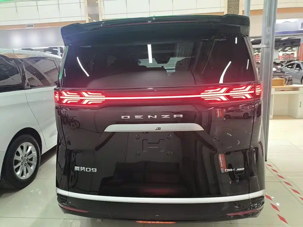 Denza Denza D9 — миниатюра 6