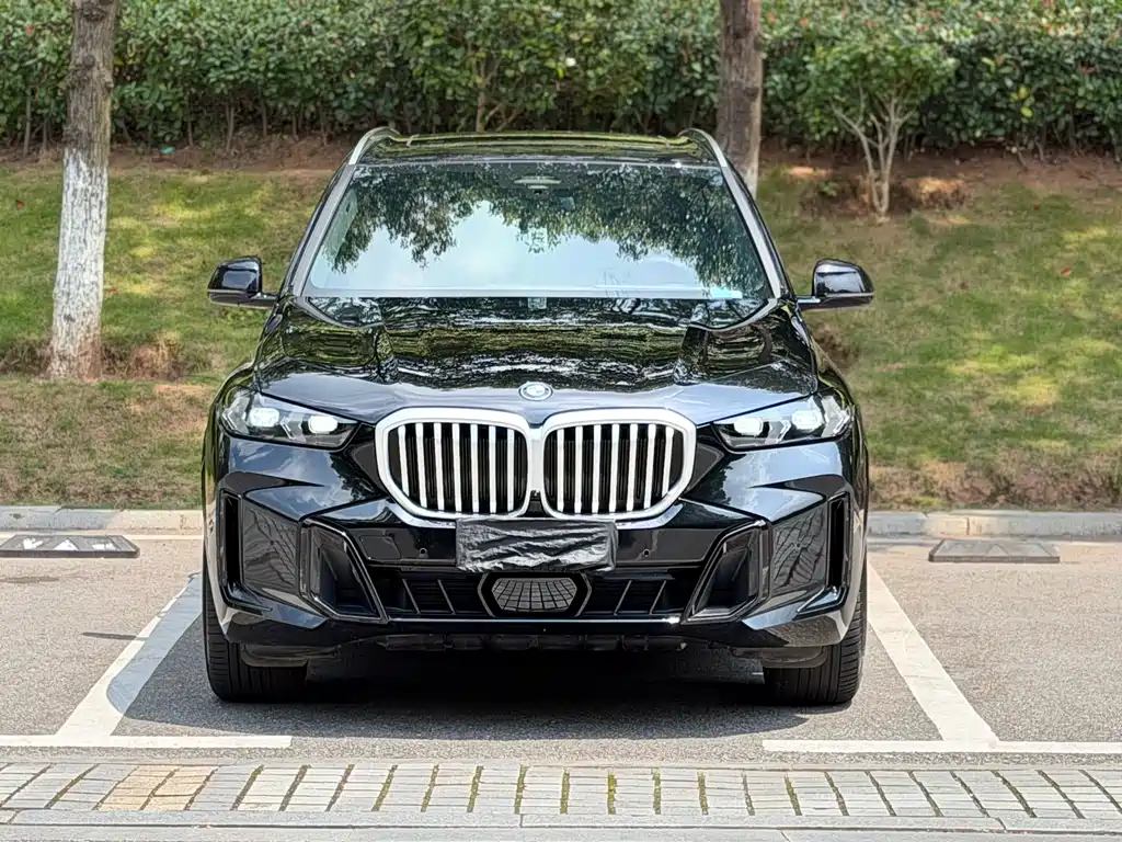 BMW X5 — миниатюра 2