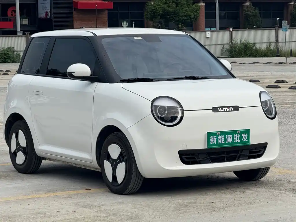 Qiyuan Lumin — миниатюра 3