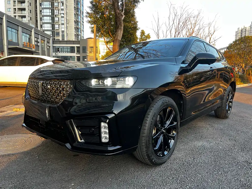 WEI PAI WEI BRAND VV7