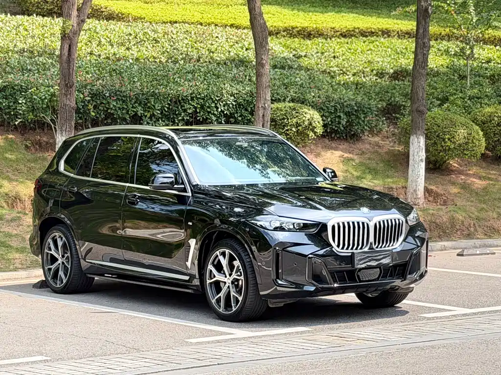 BMW X5 — миниатюра 3