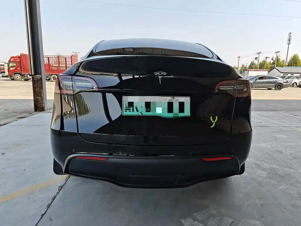 Tesla Model Y — миниатюра 5