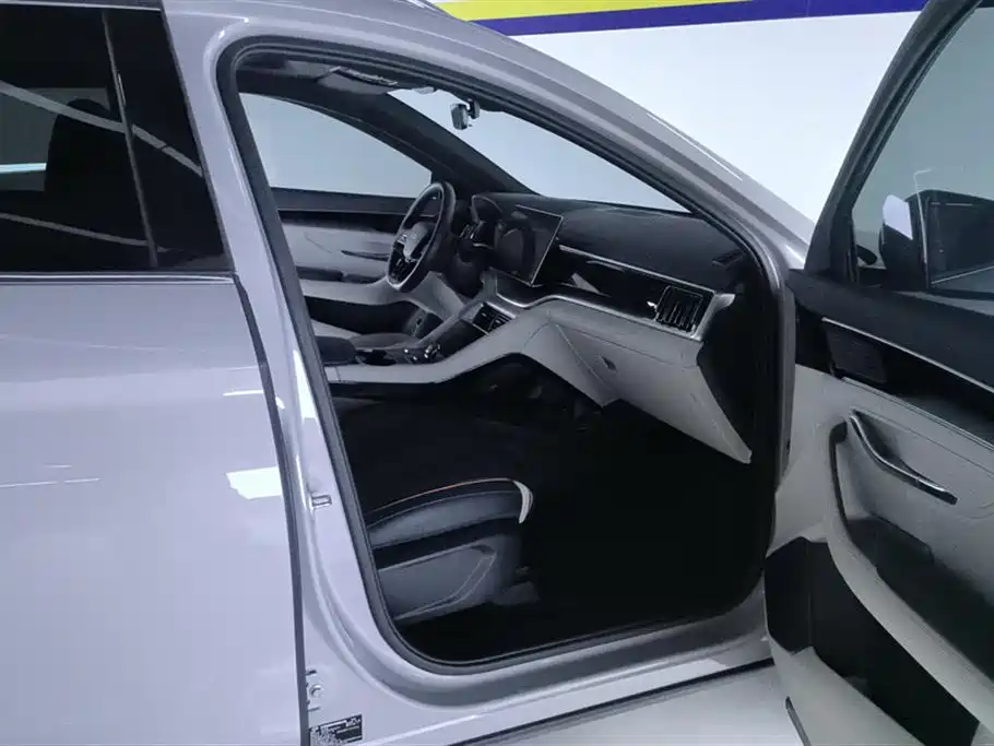 BYD Song Plus PLUS 2024 DM-i 110km Flagship