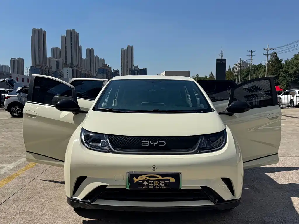 BYD Dolphin — миниатюра 15