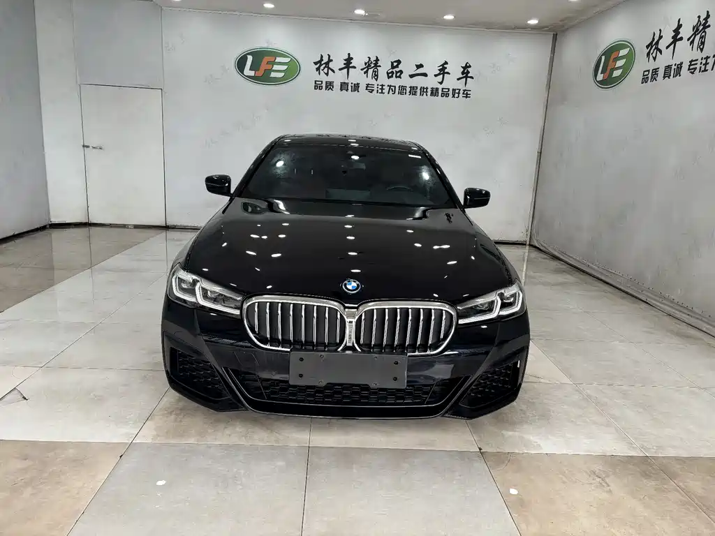 BMW 5 SERIES NEW ENERGY