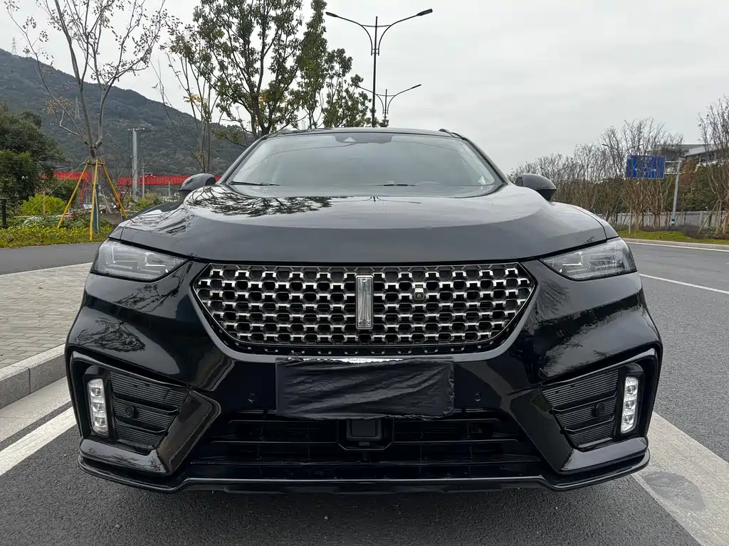 WEI PAI WEI BRAND VV7