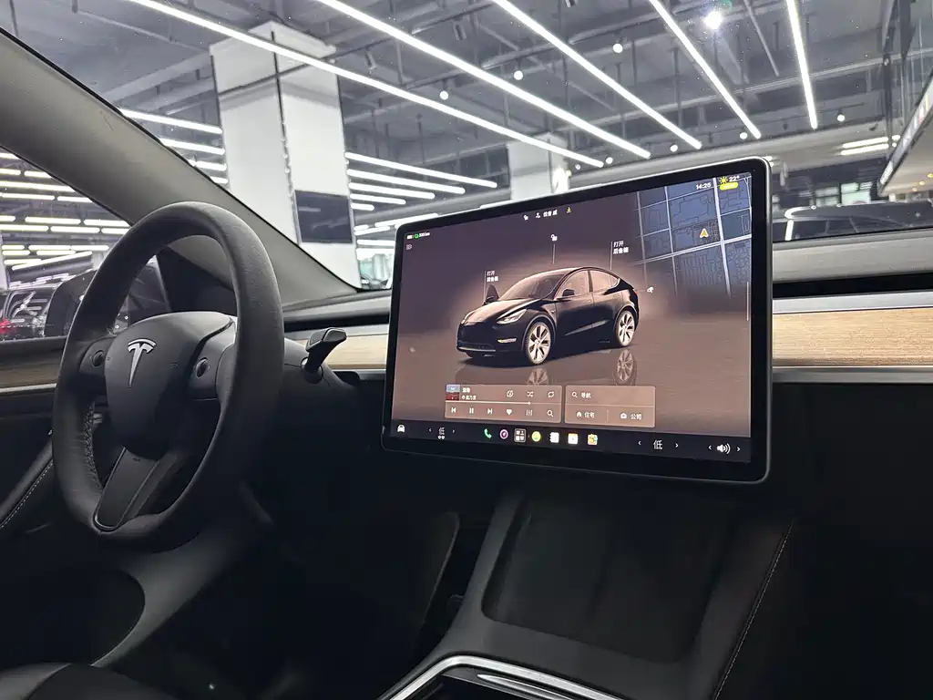 Tesla Model Y — миниатюра 12