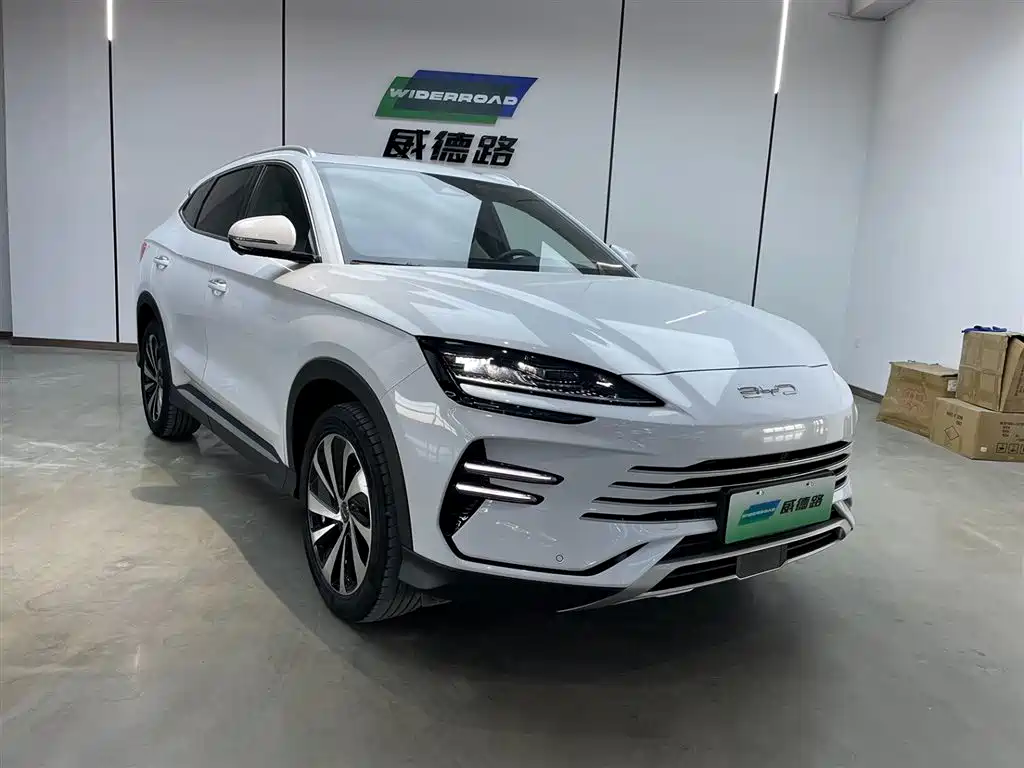 BYD SONGJIANG NEW ENERGY