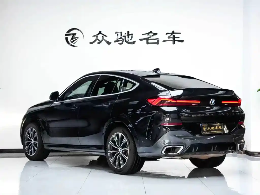 BMW X6 — миниатюра 12
