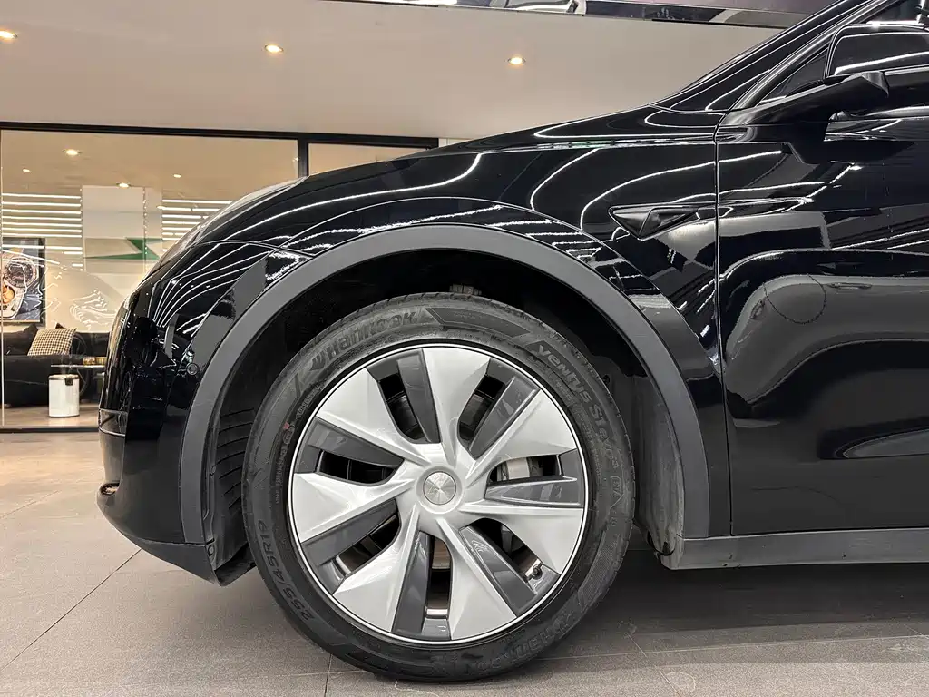 Tesla Model Y — миниатюра 18