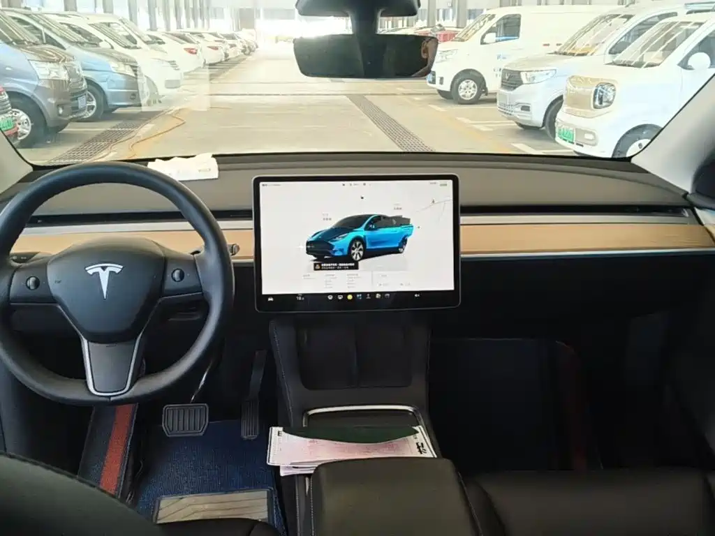 Tesla Model Y — миниатюра 10