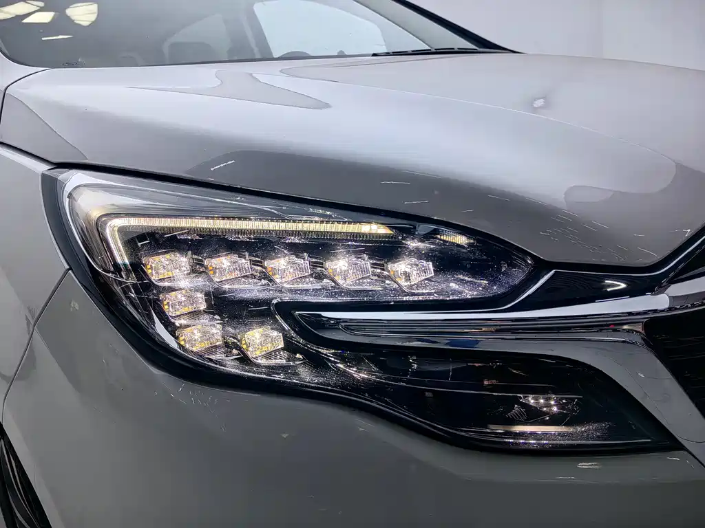 Buick GL8 — миниатюра 25