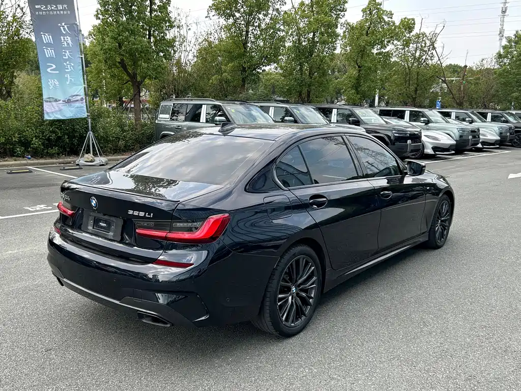 BMW 3 Series — миниатюра 14