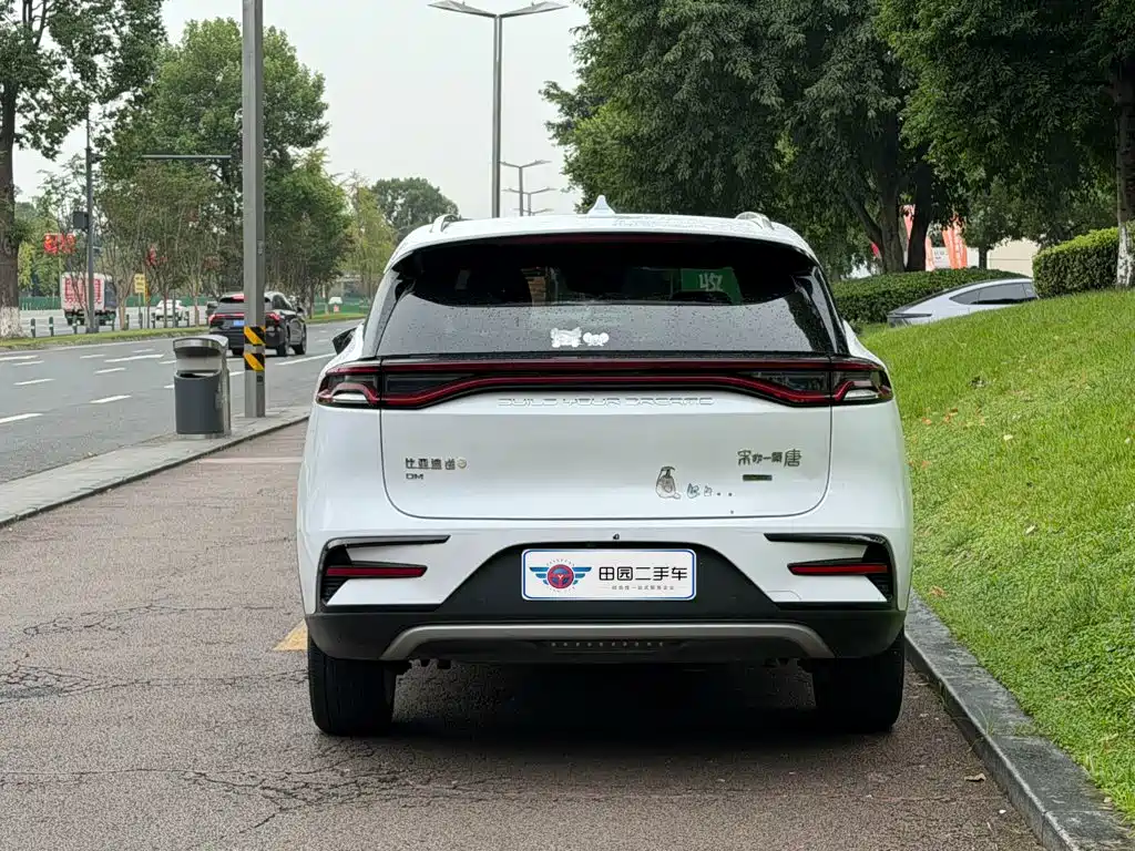 BYD Tang New Energy — миниатюра 5