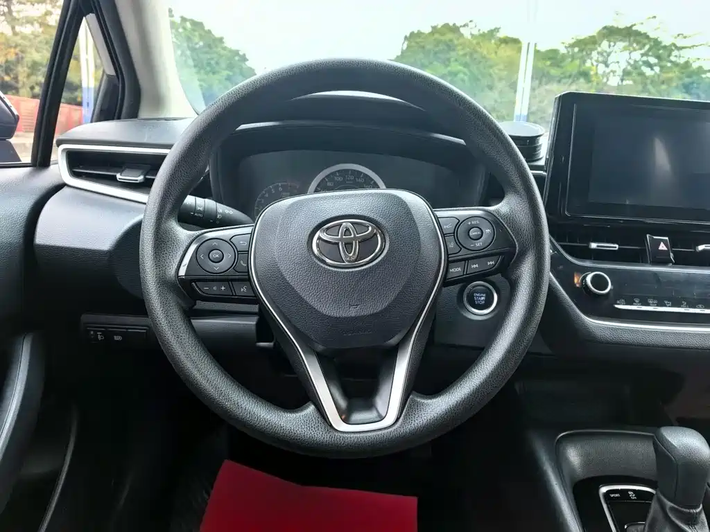 TOYOTA ASIAN LION