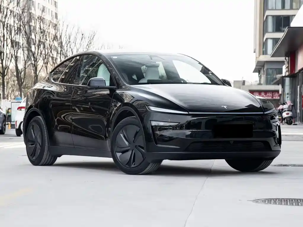 Tesla Model Y — миниатюра 2