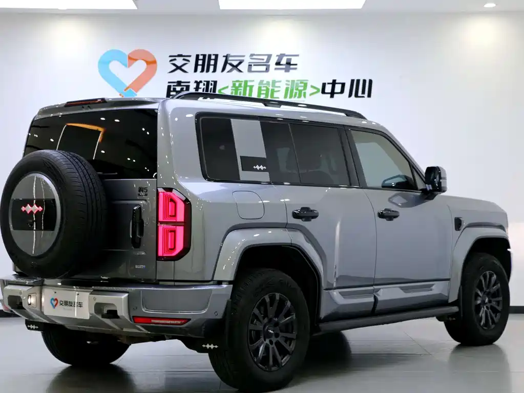 FANG CHENG BAO LEOPARD 5