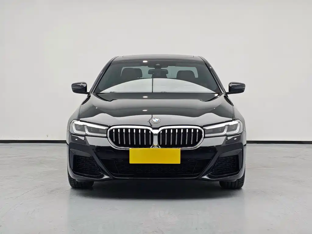 BMW 5 Series (Import) — миниатюра 2