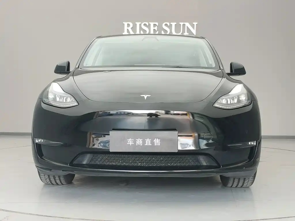 Tesla Model Y — миниатюра 2