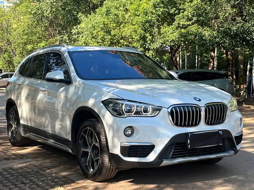 BMW X1 — миниатюра 3