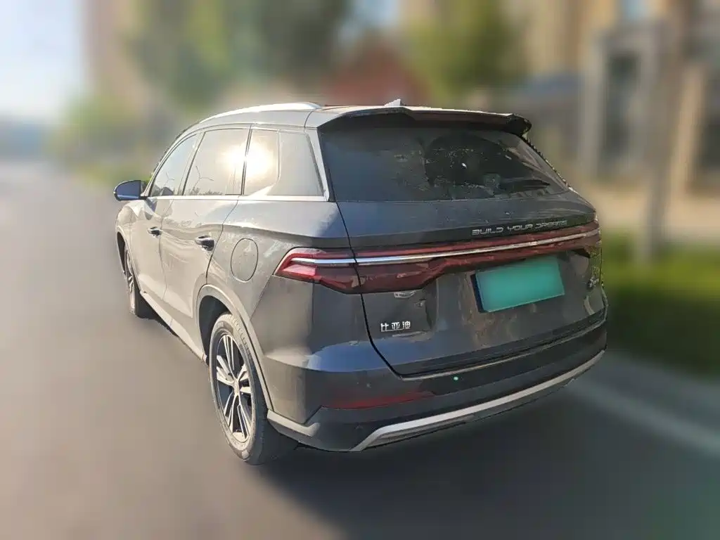 BYD Pro — миниатюра 4