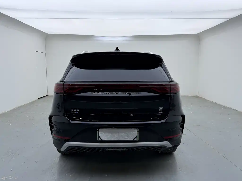 BYD Tang New Energy — миниатюра 8