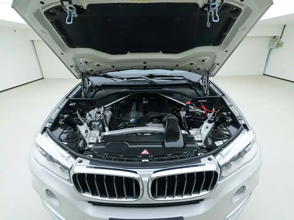 BMW X5 (Import) — миниатюра 9