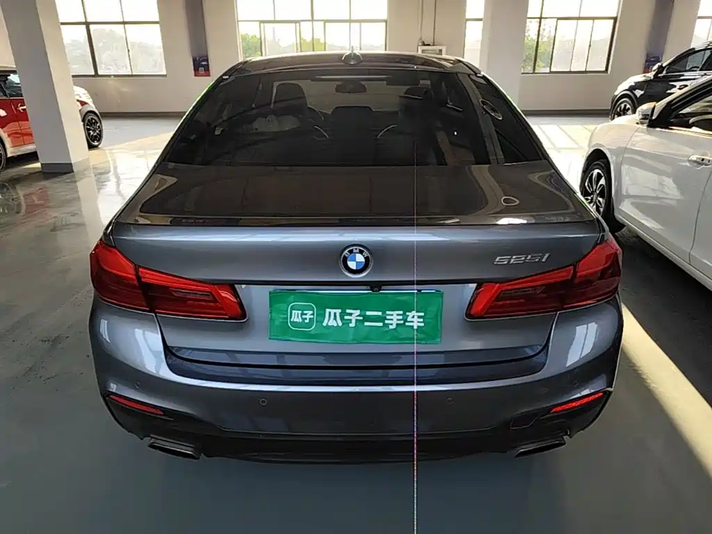 BMW 5 Series (Import) — миниатюра 6