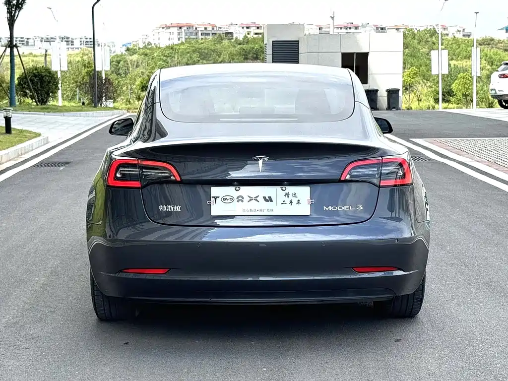 Tesla Model 3 — миниатюра 5