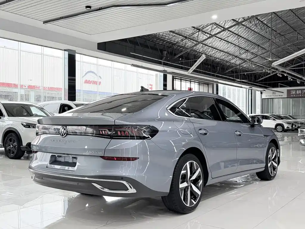 Volkswagen Lamando — миниатюра 18