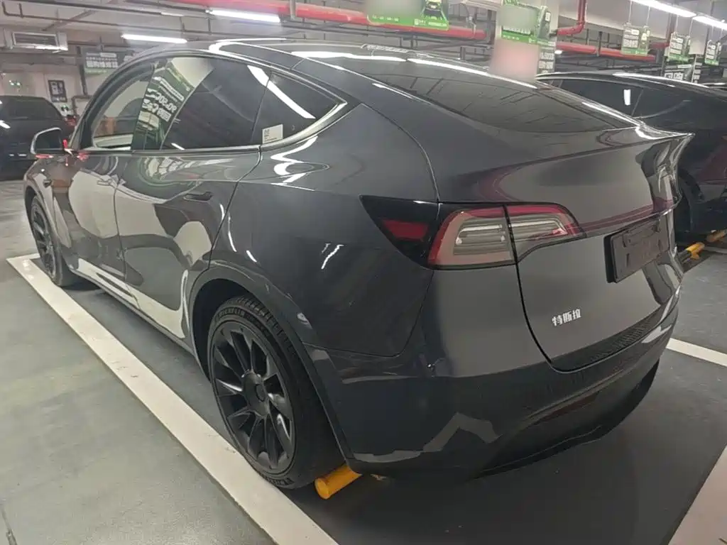 Tesla Model Y — миниатюра 5